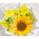 HELIOSOFT. ХЕЛИОСОФТ