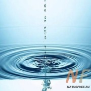 SHAROMIX DMP. ШАРОМИКС ДМП