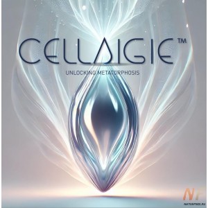 CELLAIGIE. ЦЕЛЭЙДЖИ